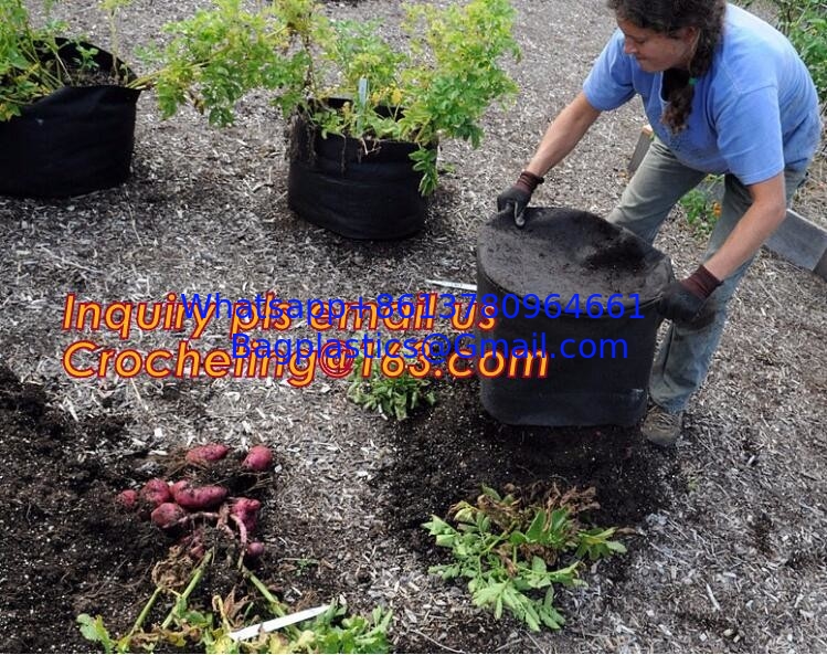 Wholesale Felt Grow Bags 5 10 15 20 Gallon Felt Large Plant Bag Promotion Handmade Innovative Product Mini Felt Grow Ba
