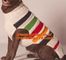 Dog snowflake pattern jacquard sweater, sweaters, crochet Pet Sweater, knit dog sweaters supplier