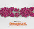 white flower Embroidery Lace patch motif applique trim headband hair bow garment clothing supplier